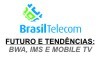 BRASIL TELECOM IN COMPANY 2006