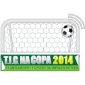 T.I.C. na Copa 2014 – DF