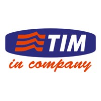 TIM in company